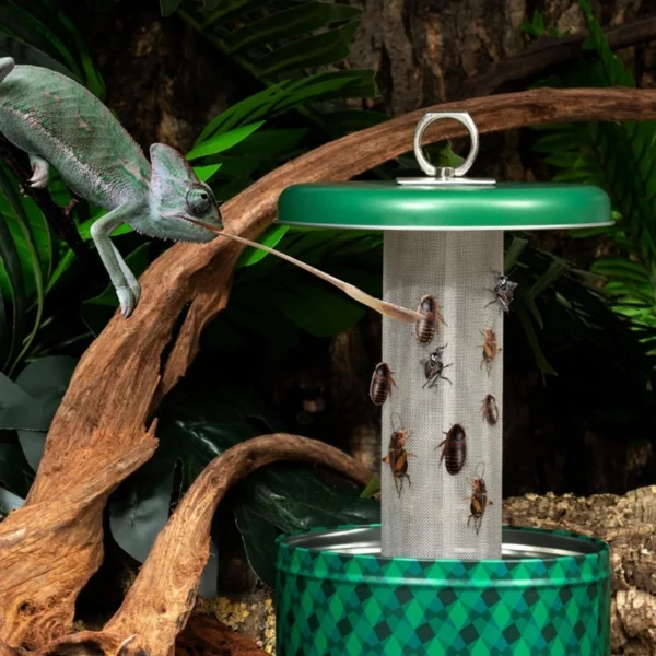 Reptile Hanging Feeder 1